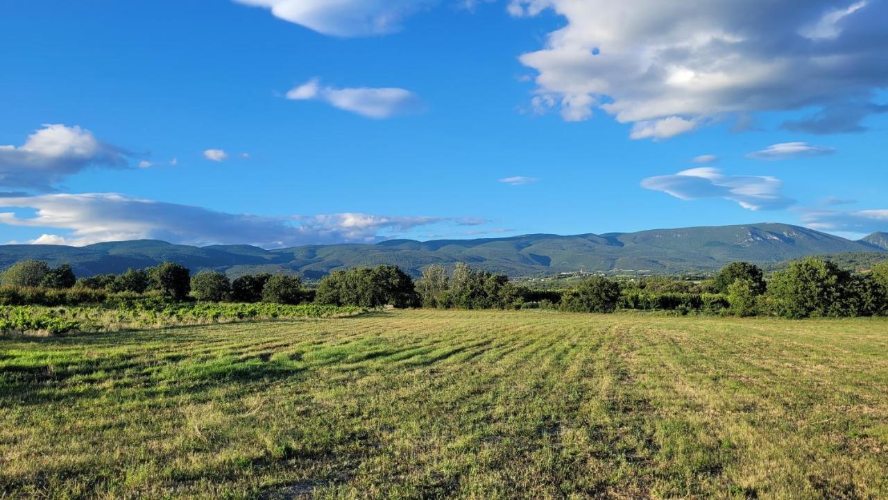 Location Avec Piscine Luberon Artemiss *