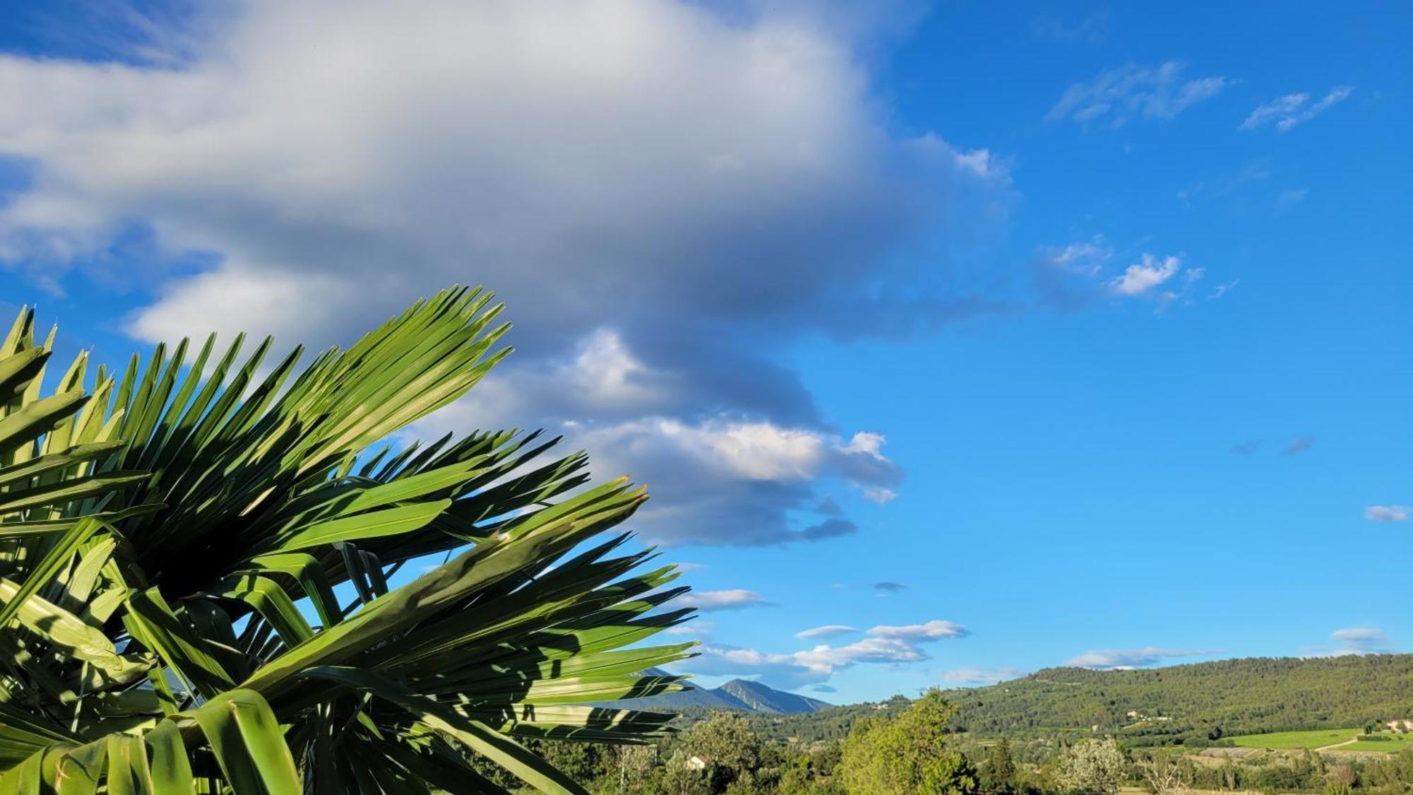 Ferienhaus Location Avec Piscine Luberon Artemiss